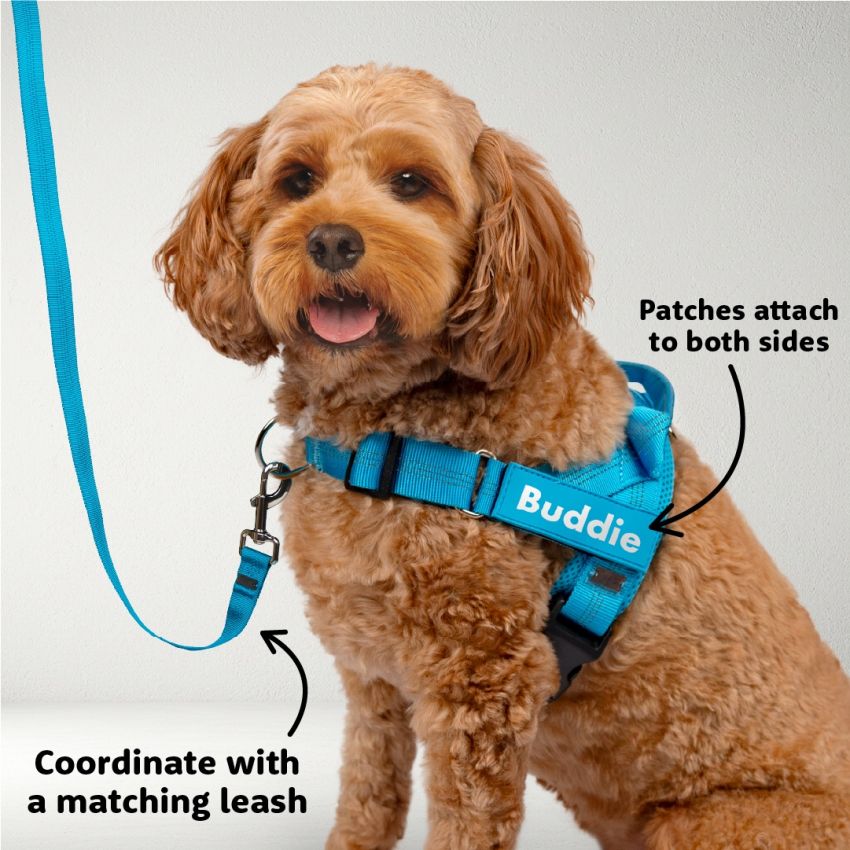 Harness Patch Pack gallery image №3