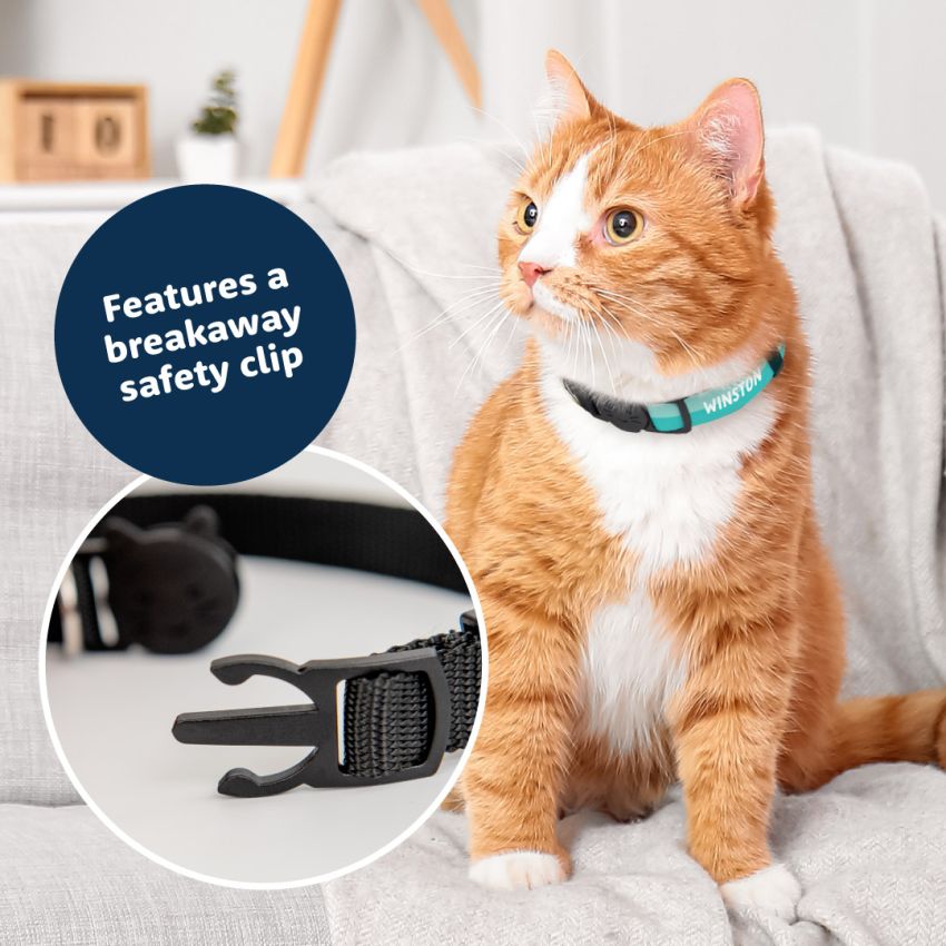 Personalised Cat Collar product preview image