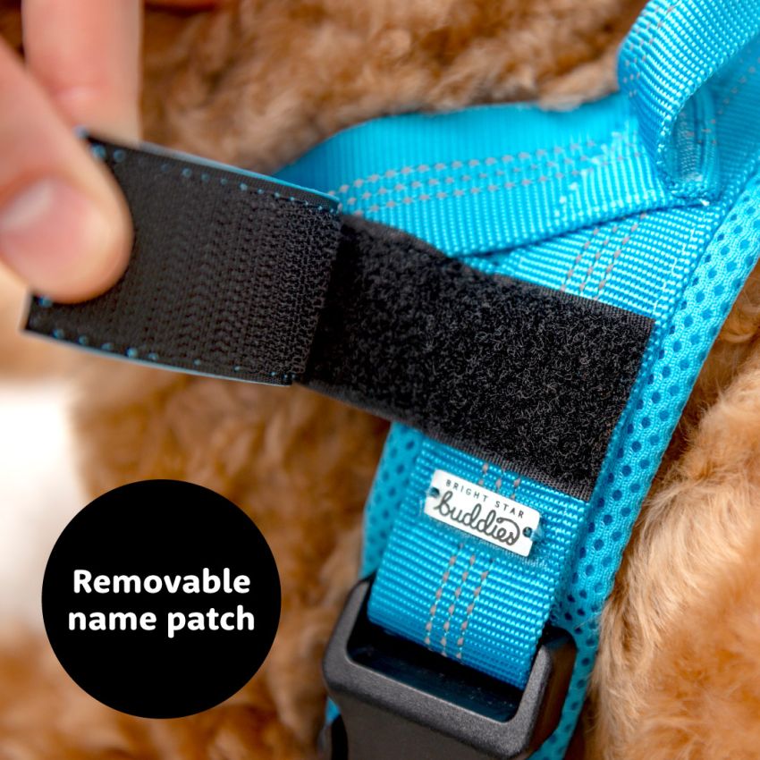 No Pull Dog Harness product preview image