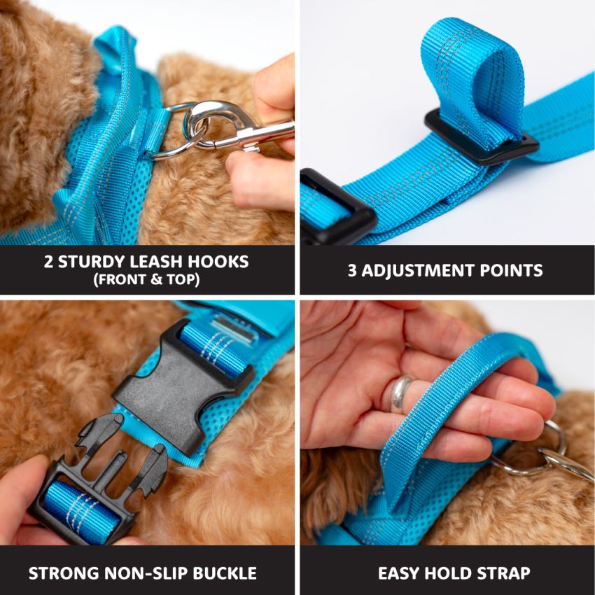 No Pull Dog Harness gallery image №2