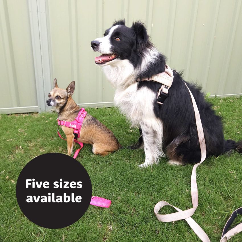 No Pull Dog Harness product preview image