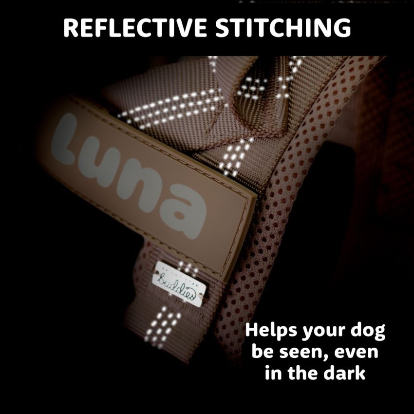 No Pull Dog Harness product preview image