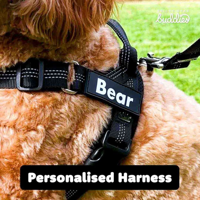No Pull Dog Harness gallery image №3
