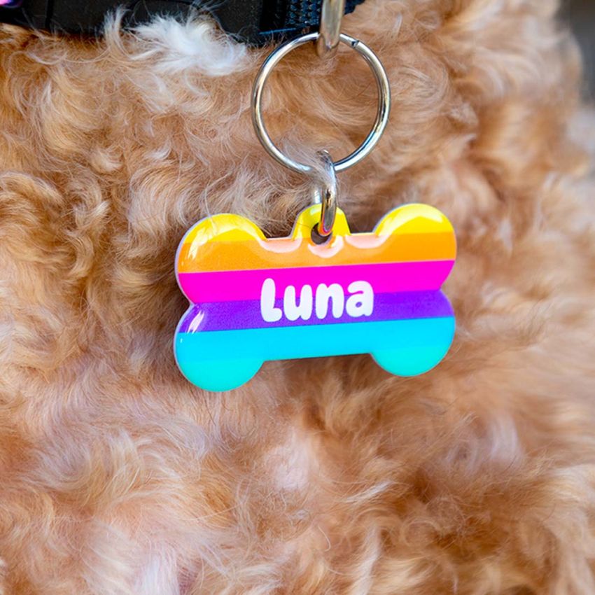 Premium Dog Bone Tags product preview image