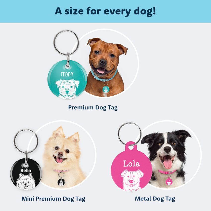 Metal Dog Tags product preview image