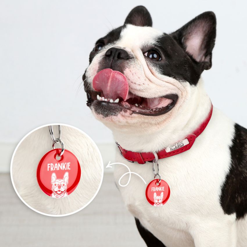 Premium Dog Portrait Tags product preview image