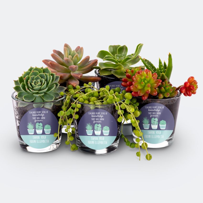 Small Gift Labels product preview image